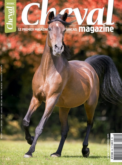Cheval magazine numerique n° 552