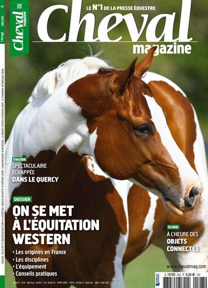 Cheval Magazine n°593