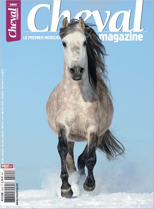 Cheval magazine numerique n° 542