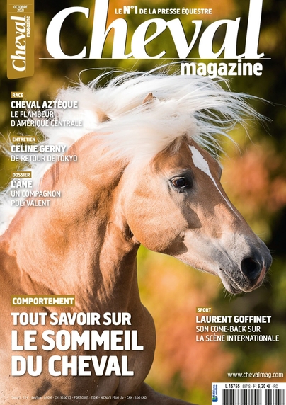 Cheval Magazine n°597